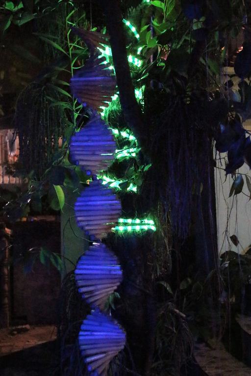 Blue Bamboo Hotel Balabag  Exterior photo